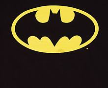 Ladies Classic Batman Logo T-Shirt from Urban Species